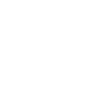 Sécuristes de France – Logo BURG WÄCHTER blanc, coffres-forts et solutions de sécurité