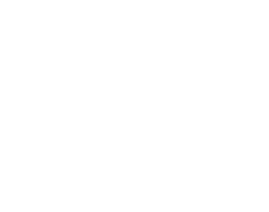 Sécuristes de France – Logo DOLMANN blanc Sécuristes de France – Logo DOLMANN blanc, grilles et fermetures de sécurité