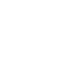 Sécuristes de France – Logo FAAC blanc Sécuristes de France – Logo FAAC blanc, spécialiste des automatismes et motorisations