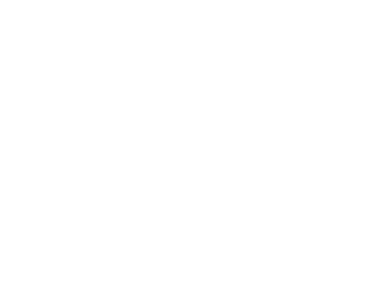 Sécuristes de France – Logo GYPASS blanc Sécuristes de France – Logo GYPASS blanc, portes de garage et industrielles