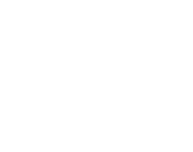 Sécuristes de France – Logo NORALSY blanc Sécuristes de France – Logo NORALSY blanc, portes techniques et collectives