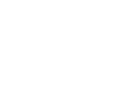 Sécuristes de France – Logo NOVOFERM blanc Sécuristes de France – Logo NOVOFERM blanc, portes de garage et fermetures
