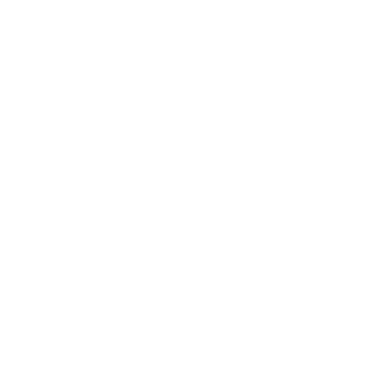 Sécuristes de France – Logo SAFIR blanc Sécuristes de France – Logo SAFIR blanc, marque partenaire en solutions de fermeture et de sécurité