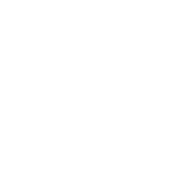Sécuristes de France – Logo SOMFY blanc Sécuristes de France – Logo SOMFY blanc, expert en motorisation et domotique