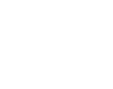 Sécuristes de France – Logo Coprodex Logo Coprodex, partenaire en solutions de clôtures, fermetures et automatismes du réseau Sécuristes de France