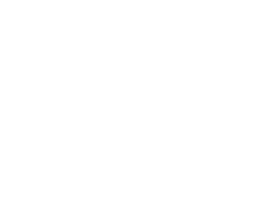 Sécuristes de France – Logo Allée Logo Allée, partenaire en solutions de portails, clôtures et aménagements extérieurs du réseau Sécuristes de France