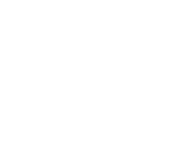 Sécuristes de France – Logo Roche Mariton Logo Roche Mariton, partenaire en solutions de stores et protections solaires du réseau Sécuristes de France